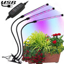LED0295.jpg@23eeb57041ae91b6cedc03b0516445b7
