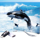 S-PC-0389_10.jpg@5e64cad1df5def4687e730c2d4482eec